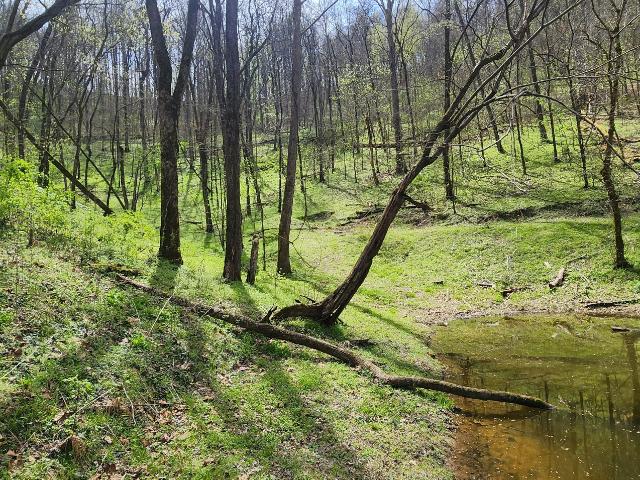 Land for sale in Tennessee