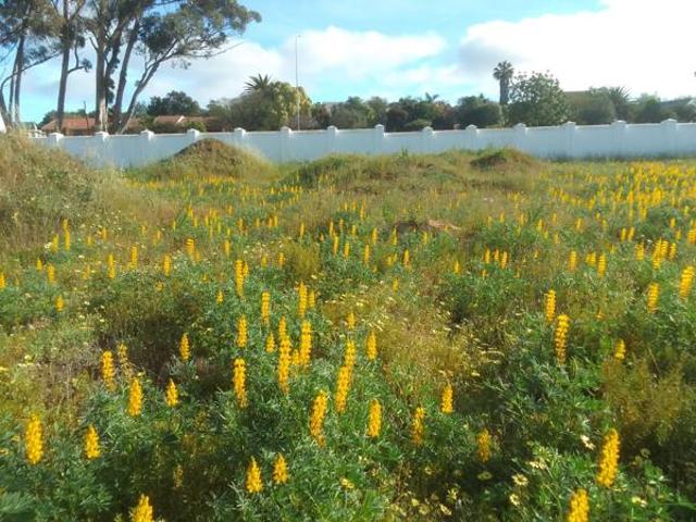 Land for sale in Western Cape