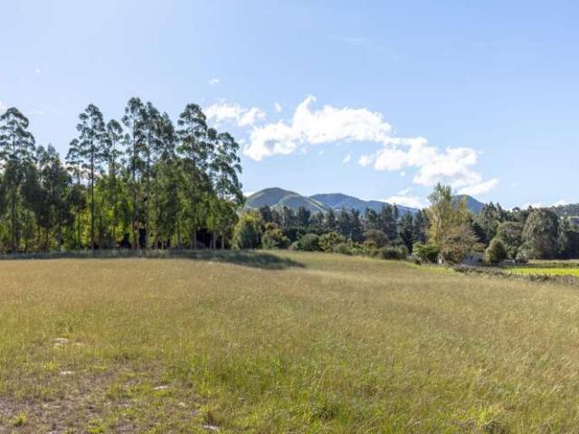 Property for sale in Carterton, Wellington