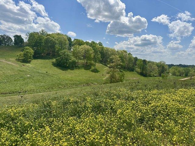 Land for sale in Laurel, Kentucky