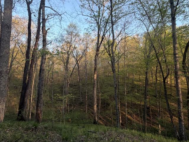 Land for sale in Vinton, Ohio