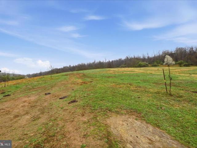 Land for sale in Winchester, Frederick County