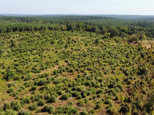 Farm for sale in Linn Flat, Nacogdoches