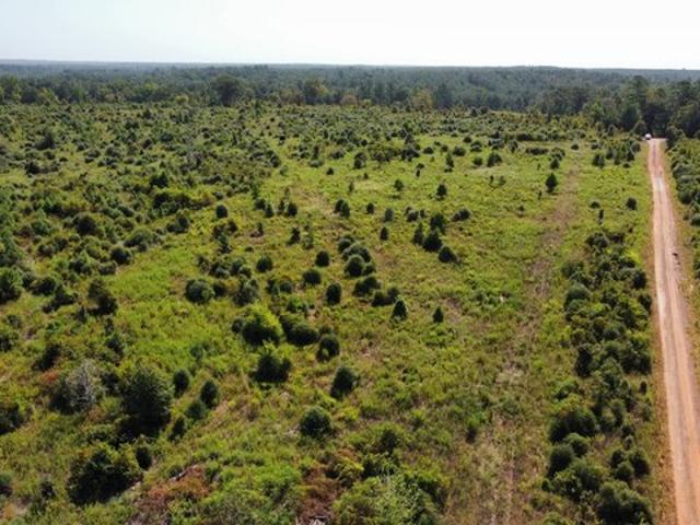 Farm for sale in Nacogdoches, Nacogdoches County