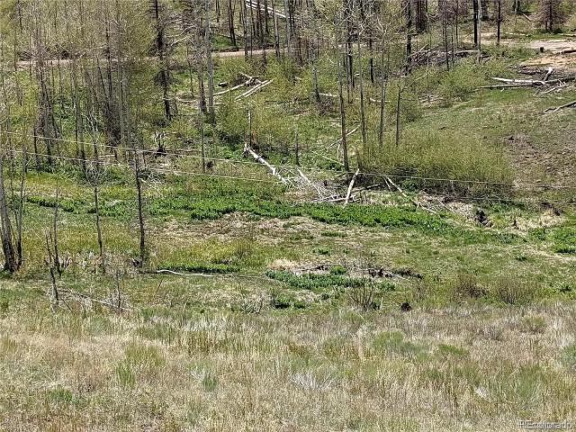 Land for sale in Fort Garland, Colorado