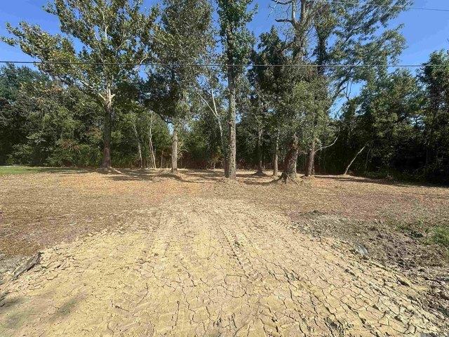 Land for sale in Saint Amant, Louisiana