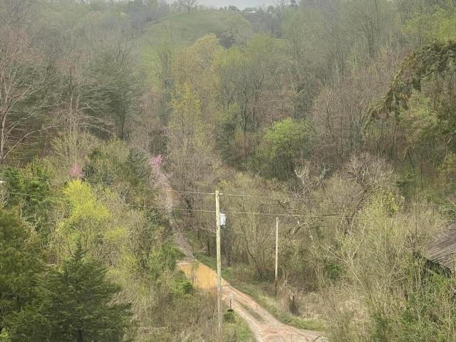 Land for sale in Tennessee