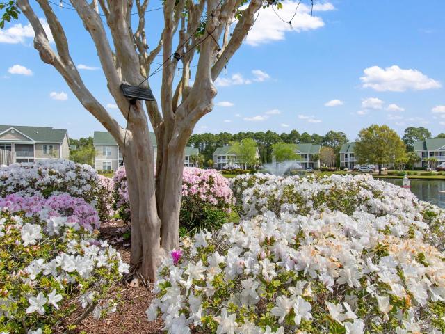Condo for sale in Sunset Beach, North Carolina