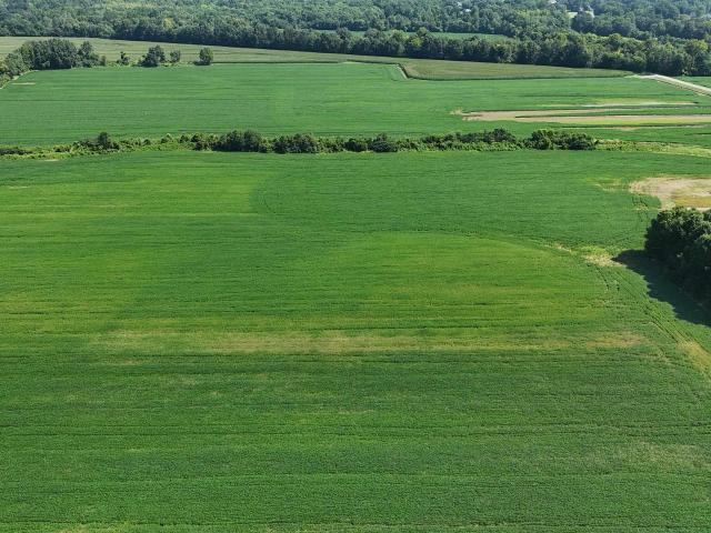 Land for sale in Mount Zion, Milledgeville