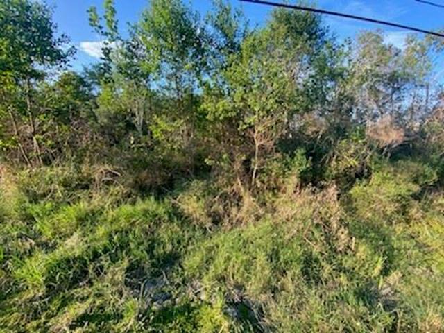 Land for sale in Louisiana