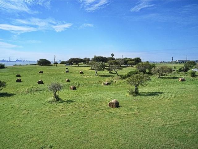 Land for sale in Taft, San Patricio County