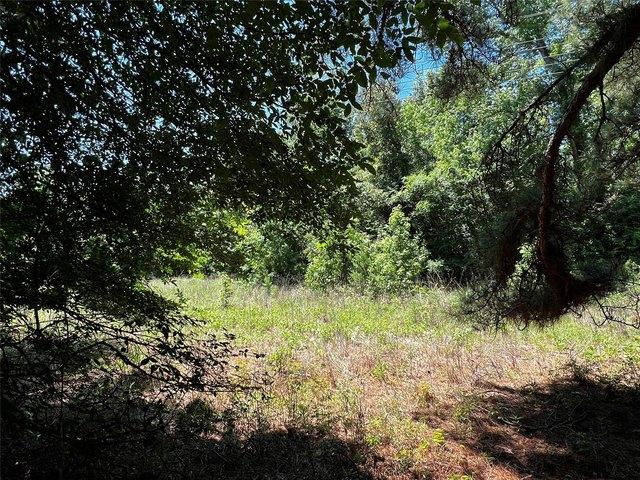 Land for sale in Leon, Texas