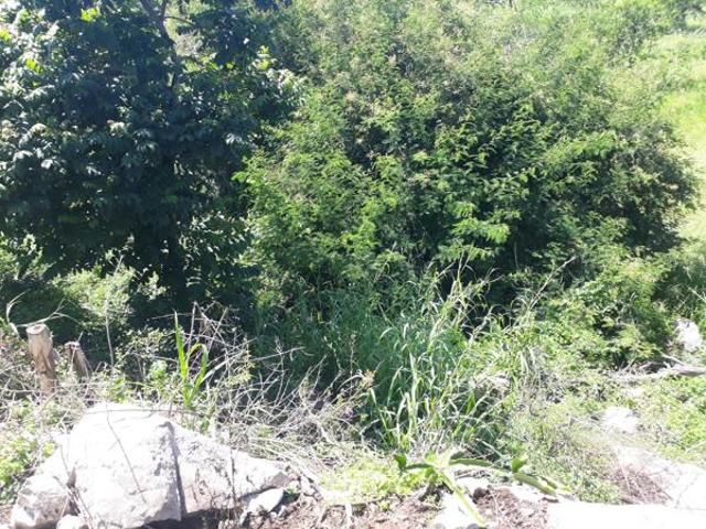 Land for sale in Ehlanzeni, Mpumalanga