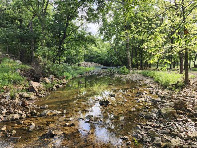Farm for sale in Mountain Grove, Missouri