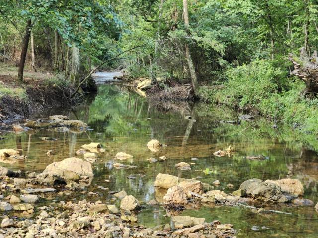 Property for sale in Mountain Grove, Missouri