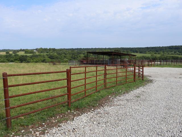 Land for sale in Mountain Grove, Missouri