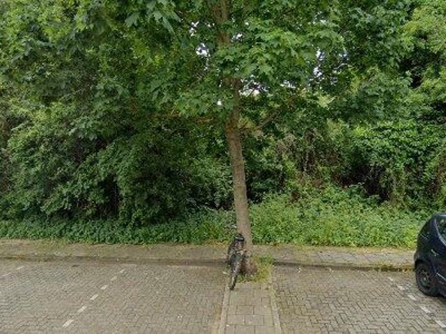Bedrijfspand te huur in Oost, Amsterdam