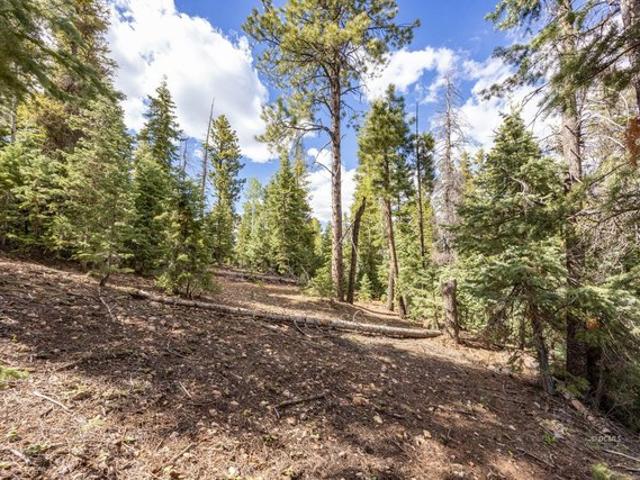 Land for sale in Duck Creek Village, Utah