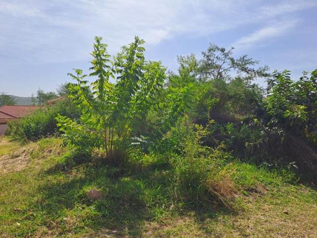 Land for sale in Ehlanzeni, Mpumalanga