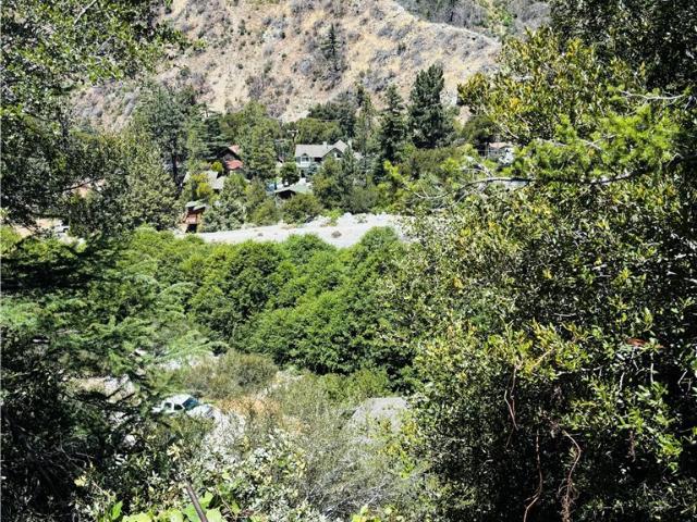 Land for sale in Mt Baldy, California