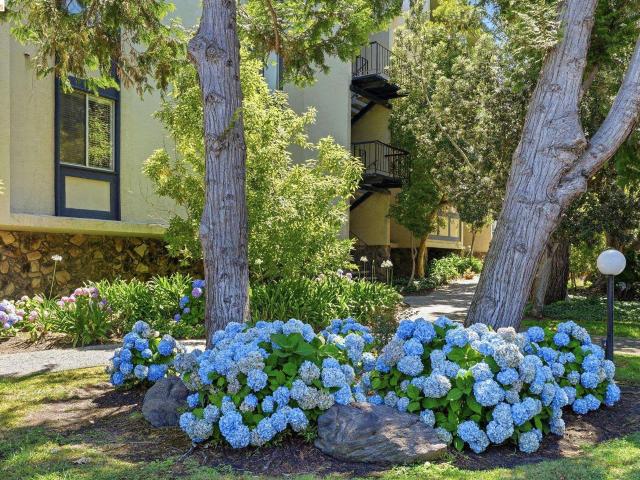 Condo for sale in Alameda, California