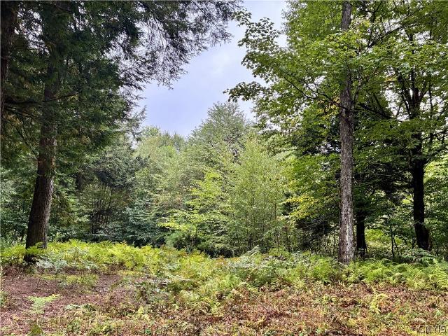 Land for sale in Oneida, New York