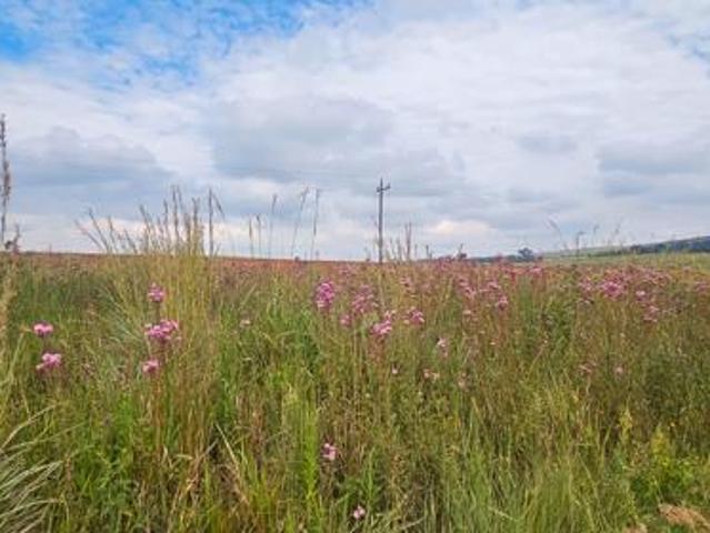 Land for sale in Waterkloof, Gauteng
