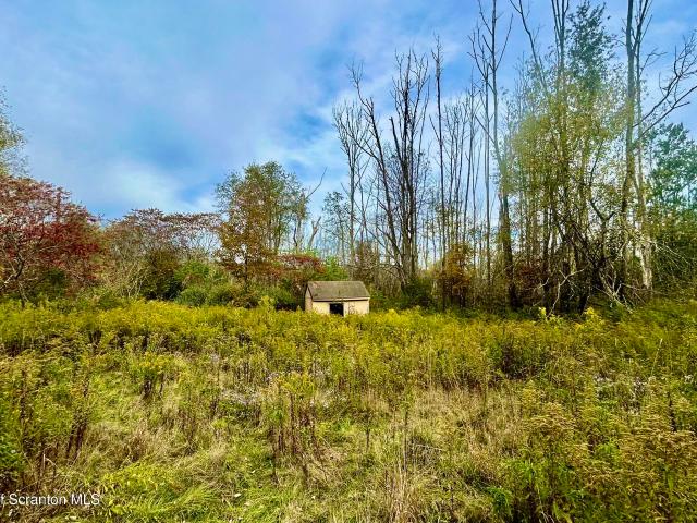 Land for sale in Kingsley, Pennsylvania