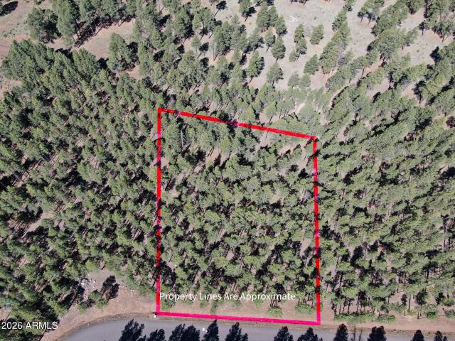 Land for sale in Arizona