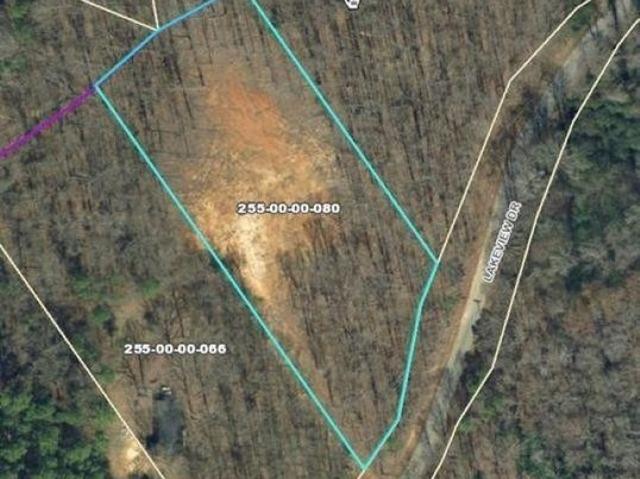Land for sale in Gray Court, South Carolina