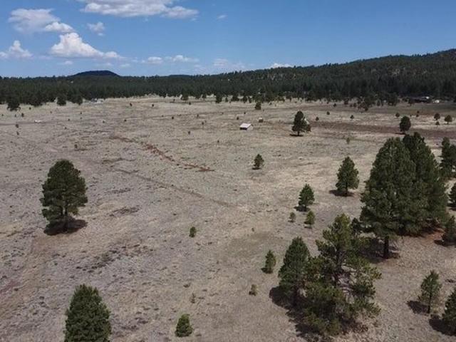 Land for sale in Williams, Arizona