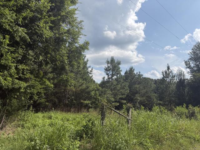 Land for sale in Calhoun, East Tennessee