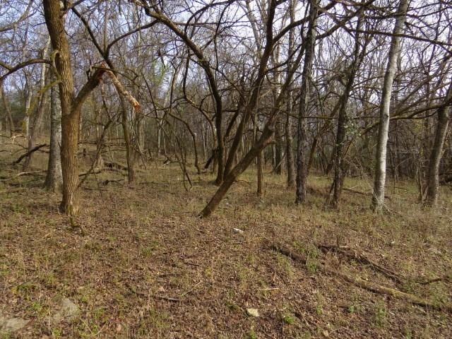 Land for sale in Tennessee