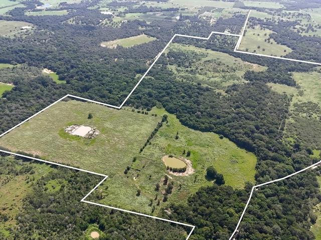 Land for sale in Flatonia, Texas