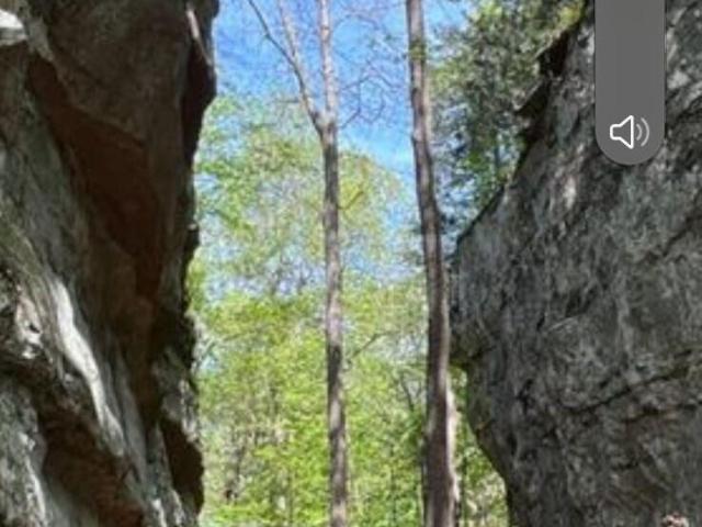 Land for sale in Pleasant Ridge, Cookeville