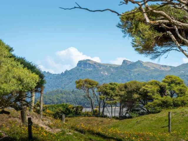 Land for sale in Nelson City, Cable Bay