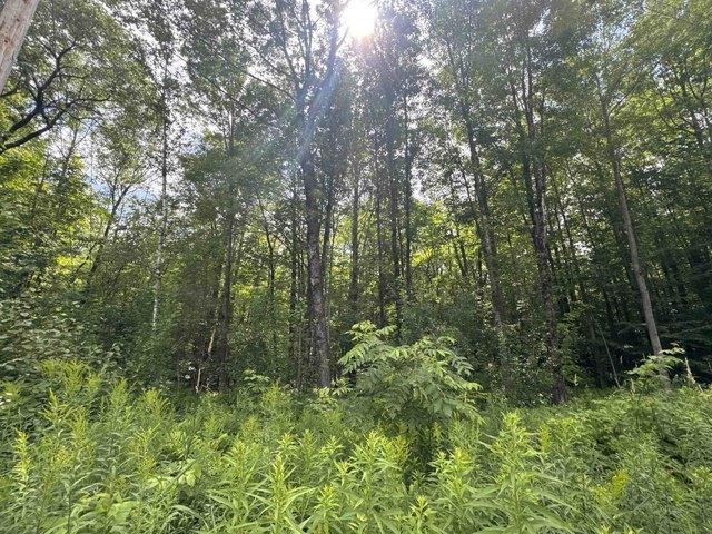 Land for sale in Fairfield, Vermont