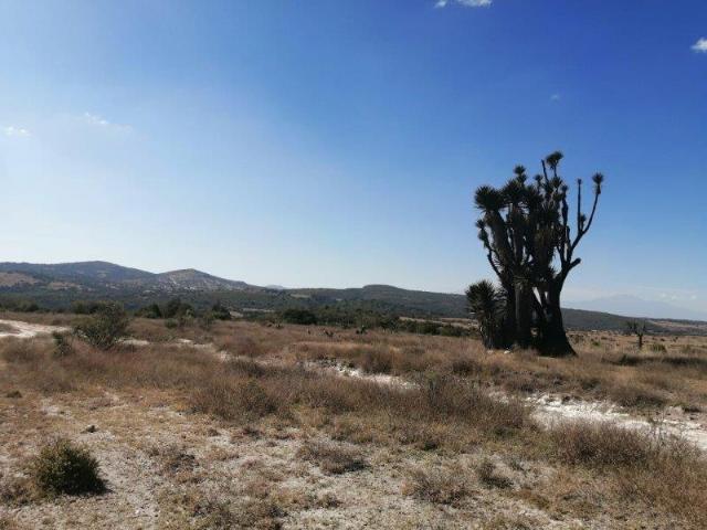 Terreno en venta en Tecali De Herrera, Puebla