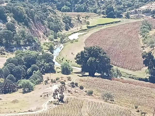 Terreno en venta en Tecali De Herrera, Puebla