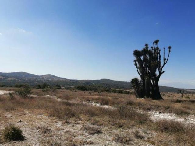 Terreno en venta en Tecali De Herrera, Puebla