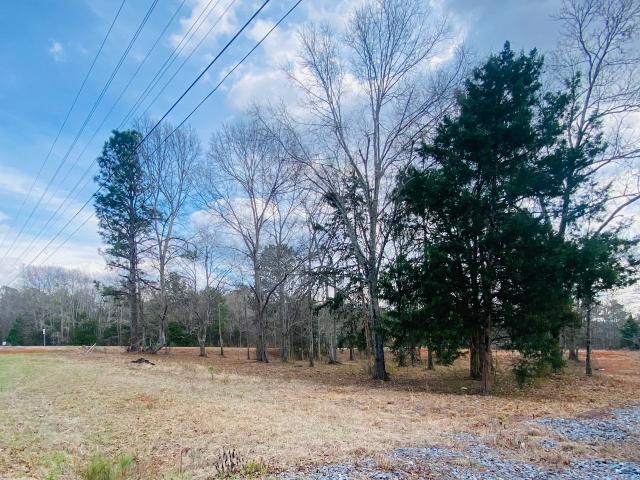 Land for sale in Upson, Georgia