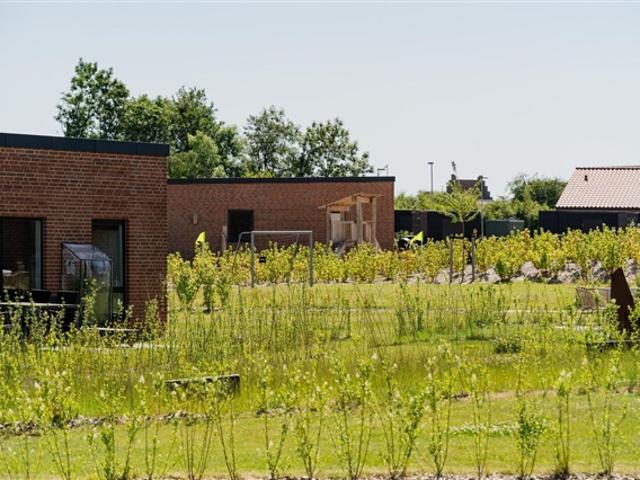 Hus til leje i Børkop, Vejle
