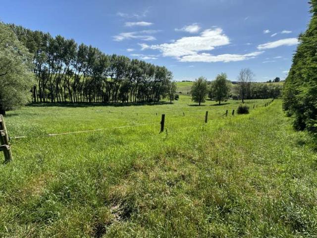 Property for sale in Otorohanga, Waikato