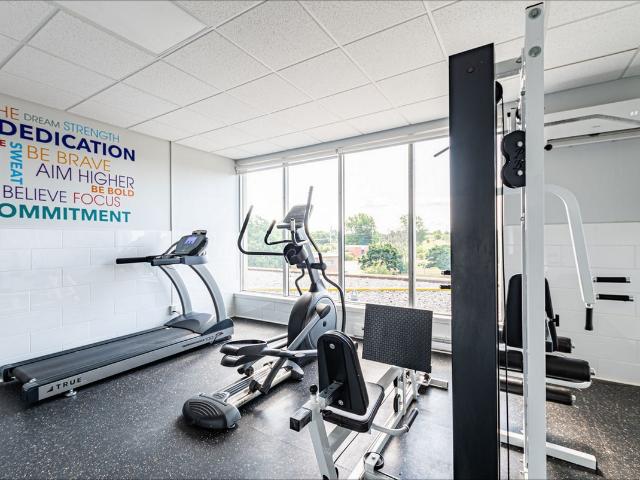 Apartment for rent in Kingston