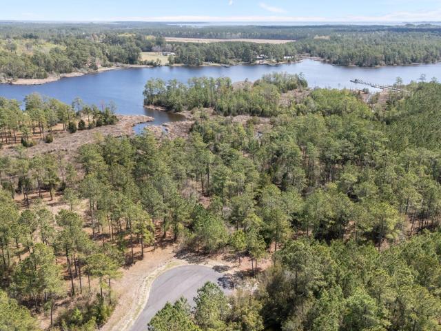 Land for sale in Vandemere, North Carolina