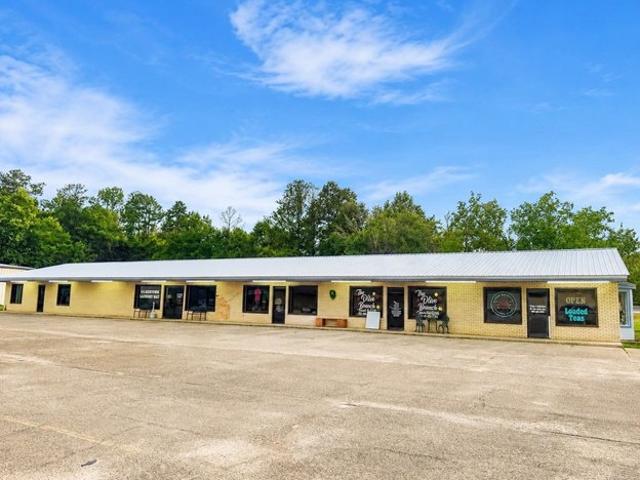 House for sale in Gilbertown, Alabama