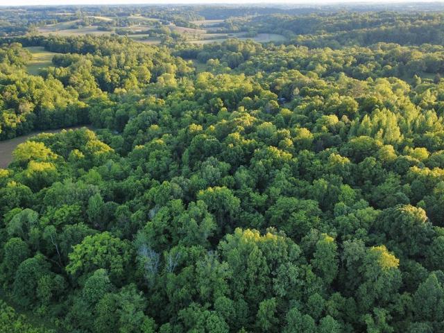 Land for sale in Oakland, Kentucky
