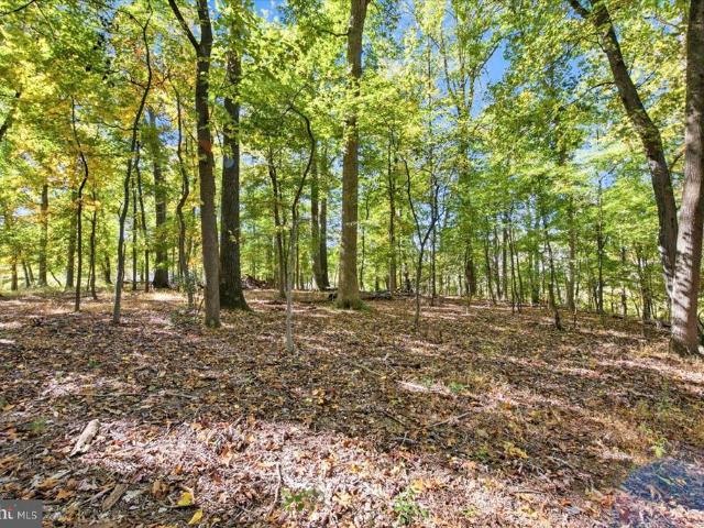 Land for sale in Stewart Town, Montgomery Village