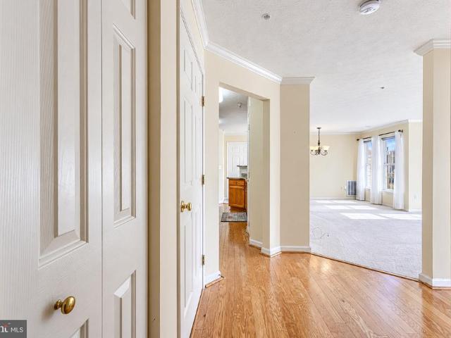 Condo for sale in Perry Hall Farms, Honeygo