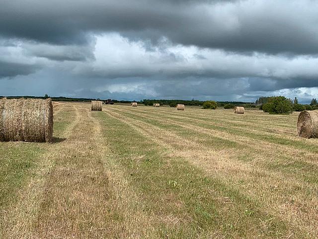 Land for sale in Red Deer, Alberta